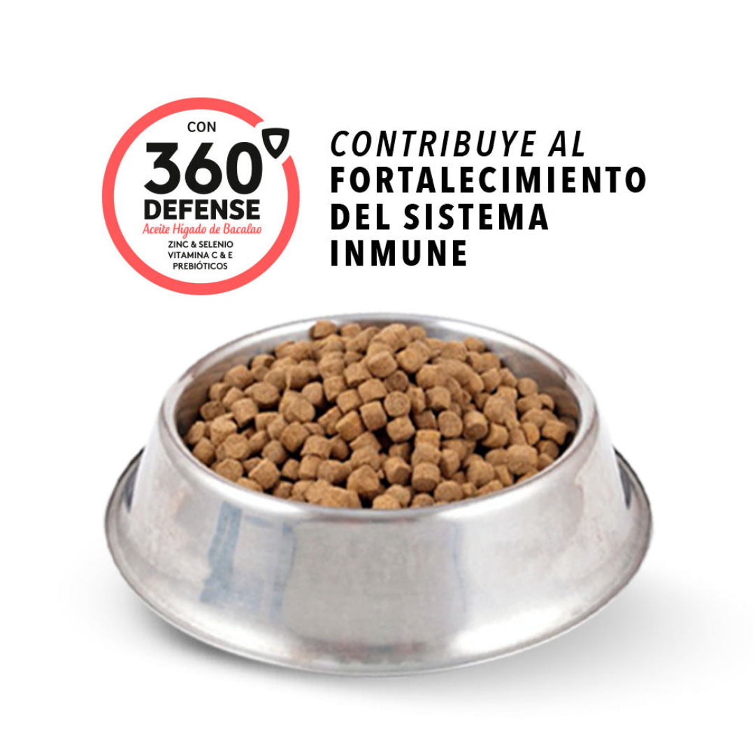 Ringo + Pro Cachorro 2kg