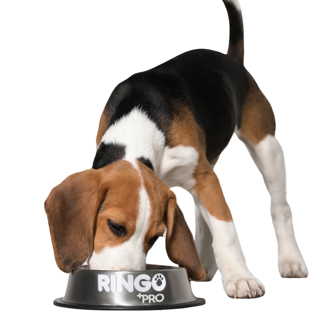 Ringo + Pro Cachorro 2kg