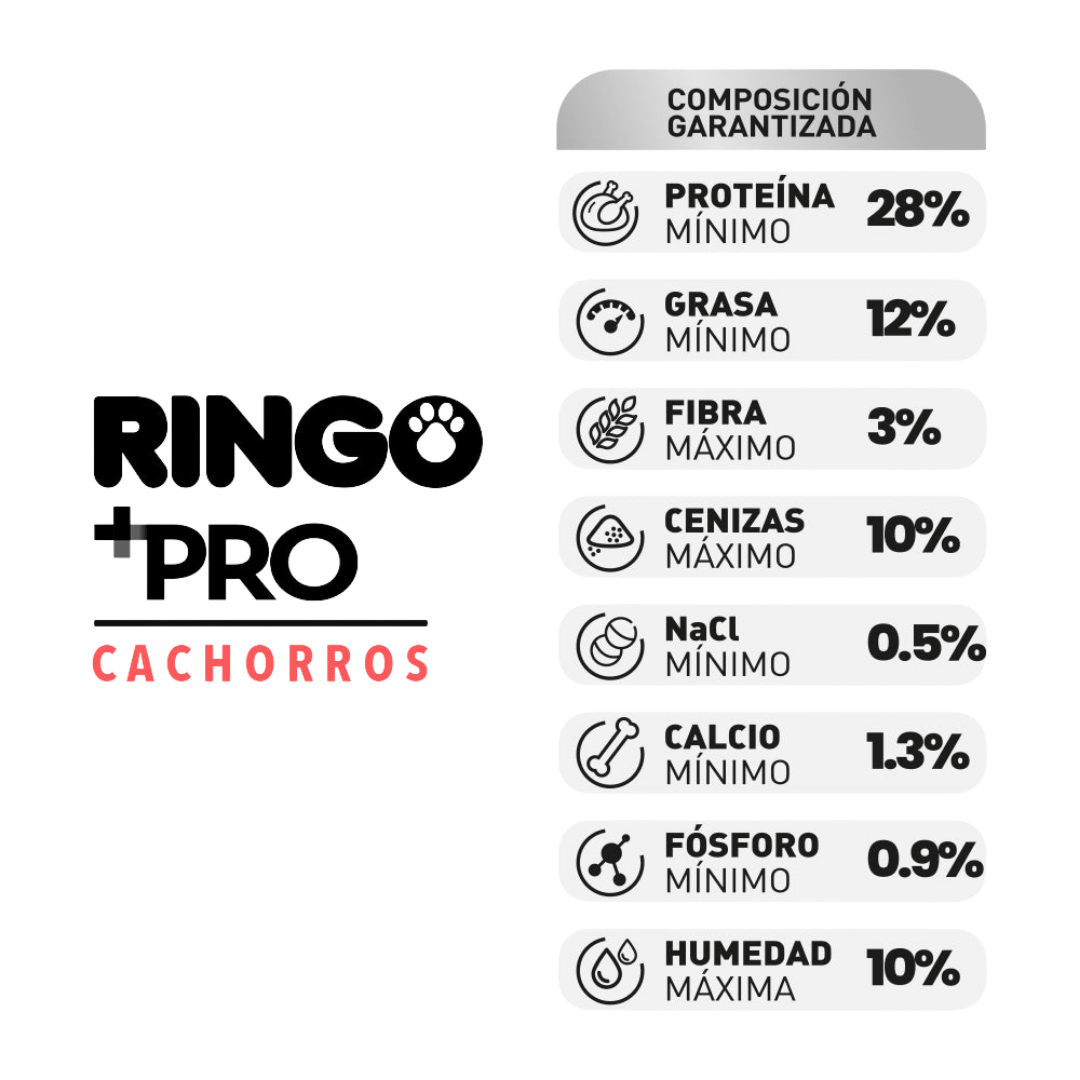 Ringo + Pro Cachorro 2kg