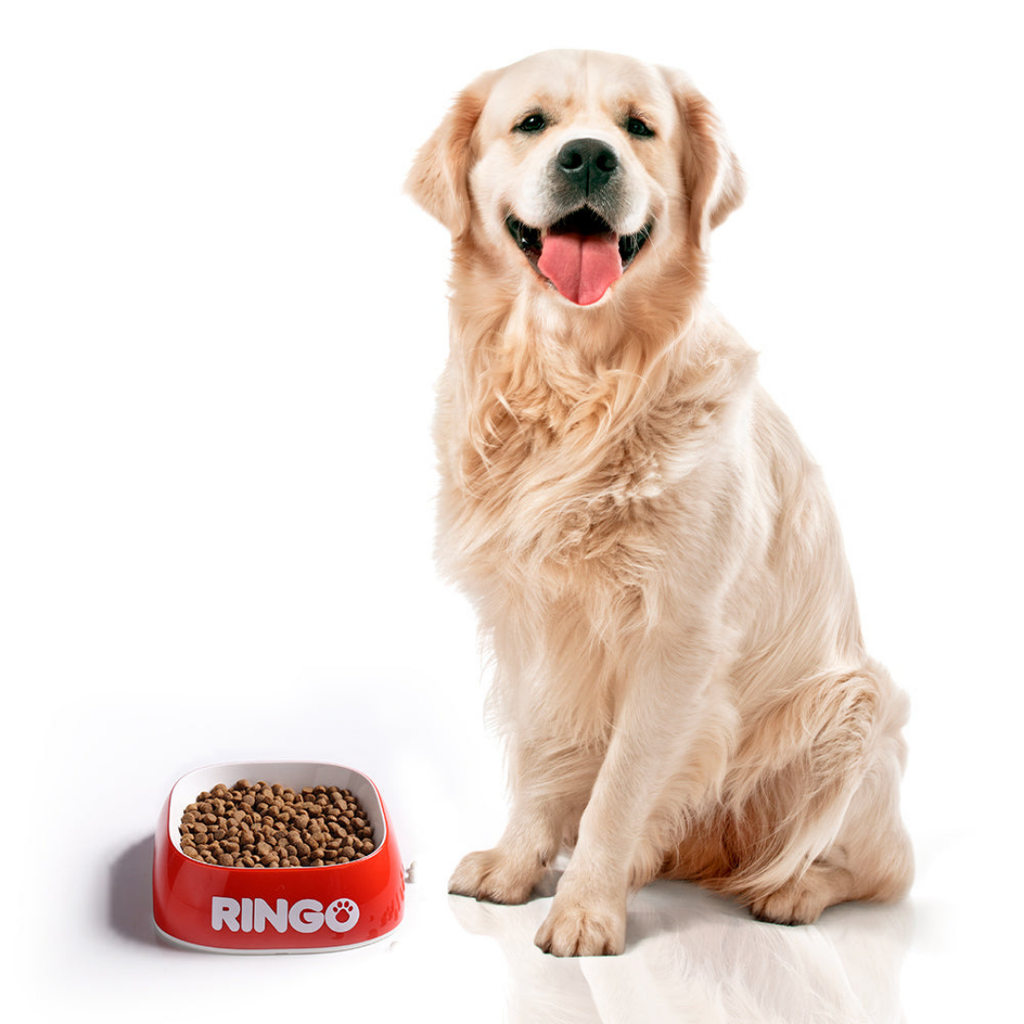 Ringo Croqueta