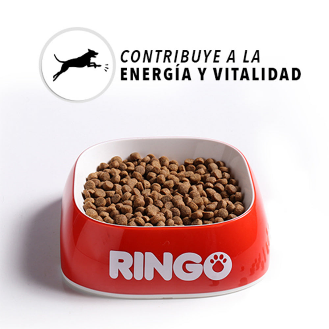 Ringo Croqueta