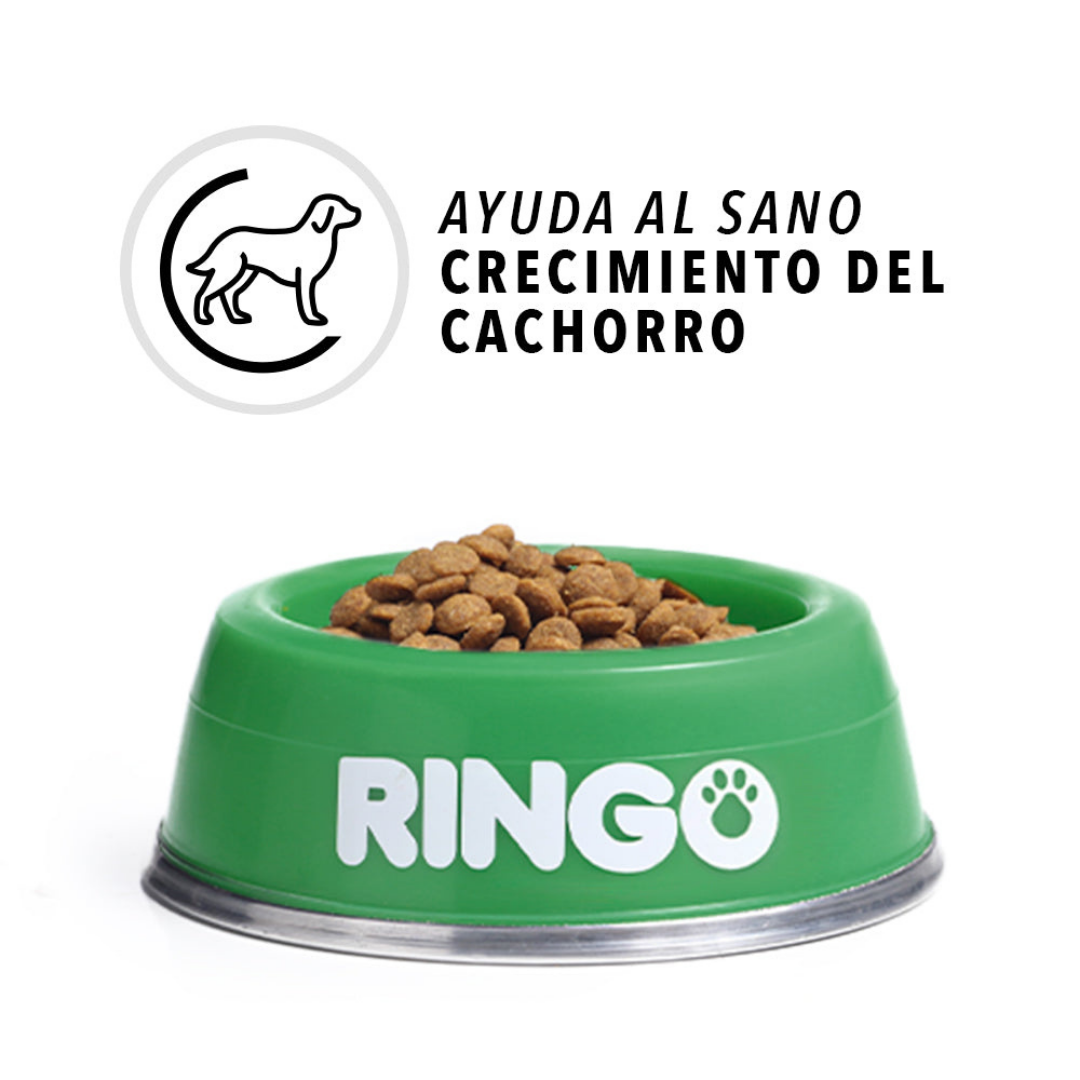 Ringo Cachorro