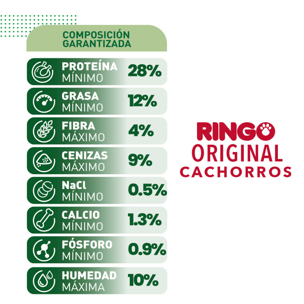 Ringo Cachorro