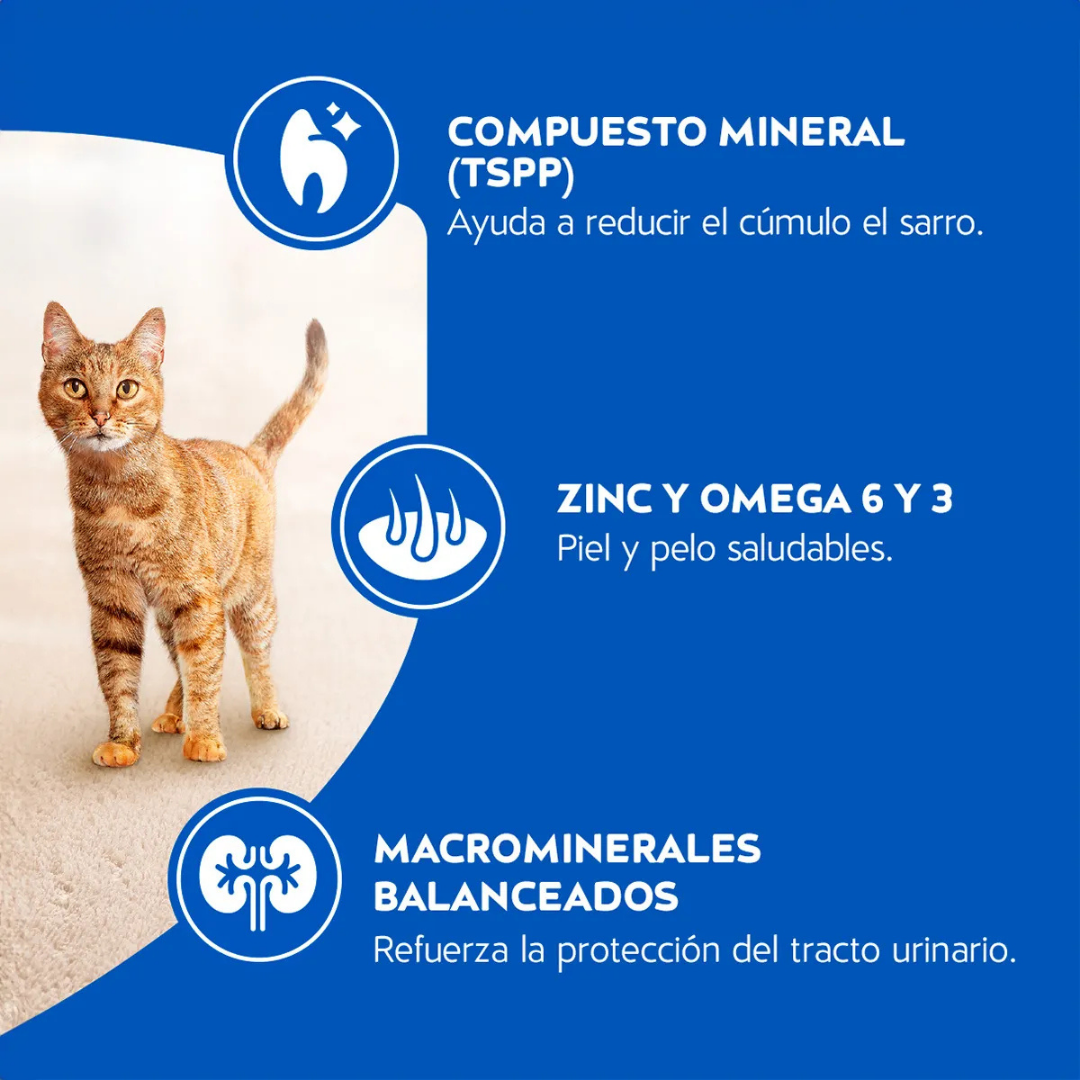 Cat Chow Adulto Carne 1.5kg
